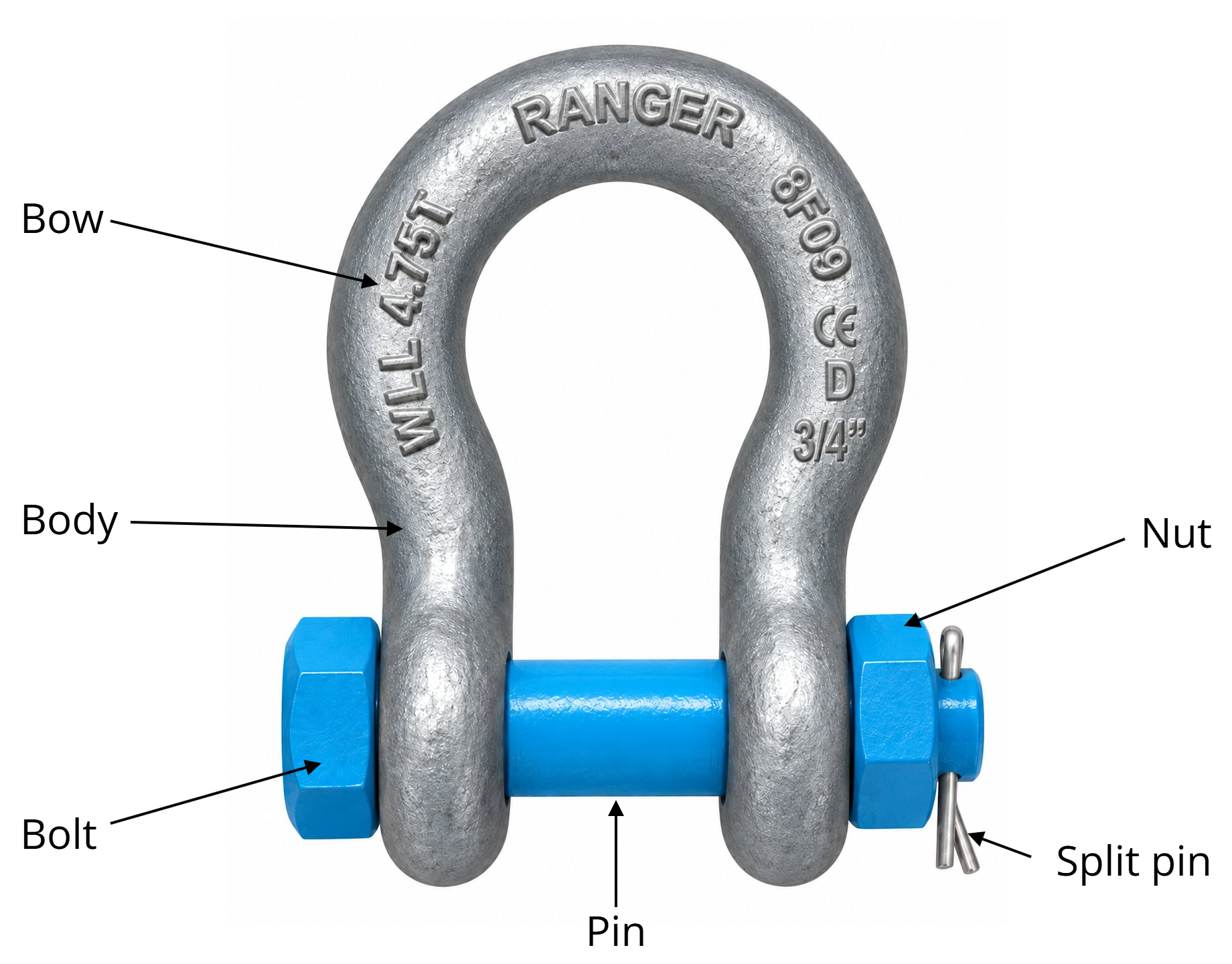 Bow shackle with parts labelled: bow, body, bolt, pin, nut and split pin